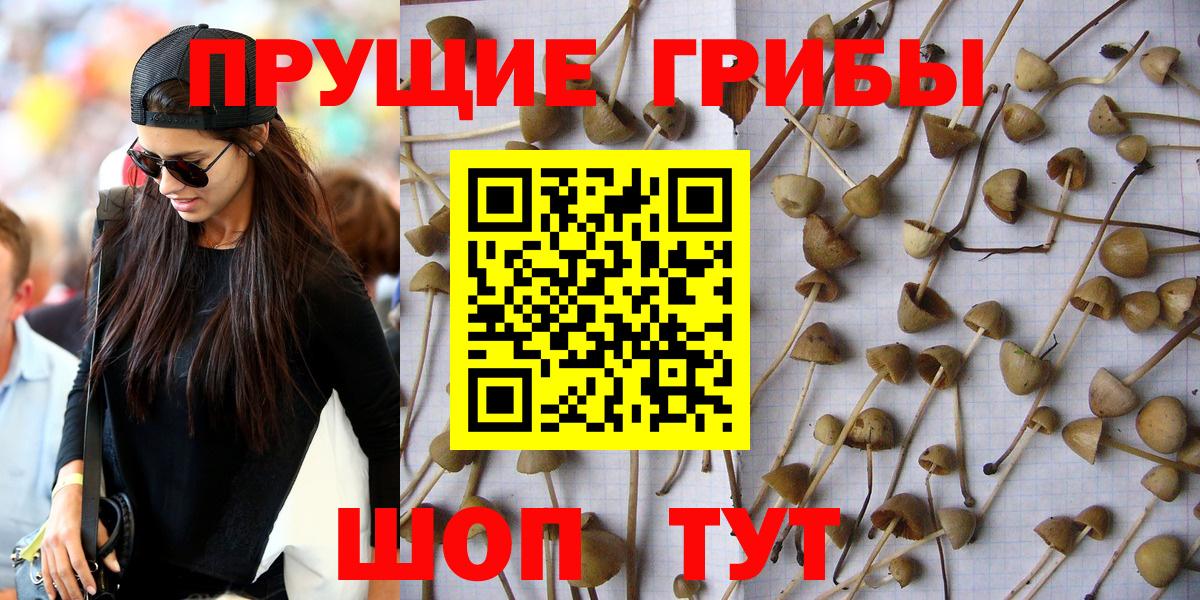 Галлюциногенные грибы мицелий Унеча