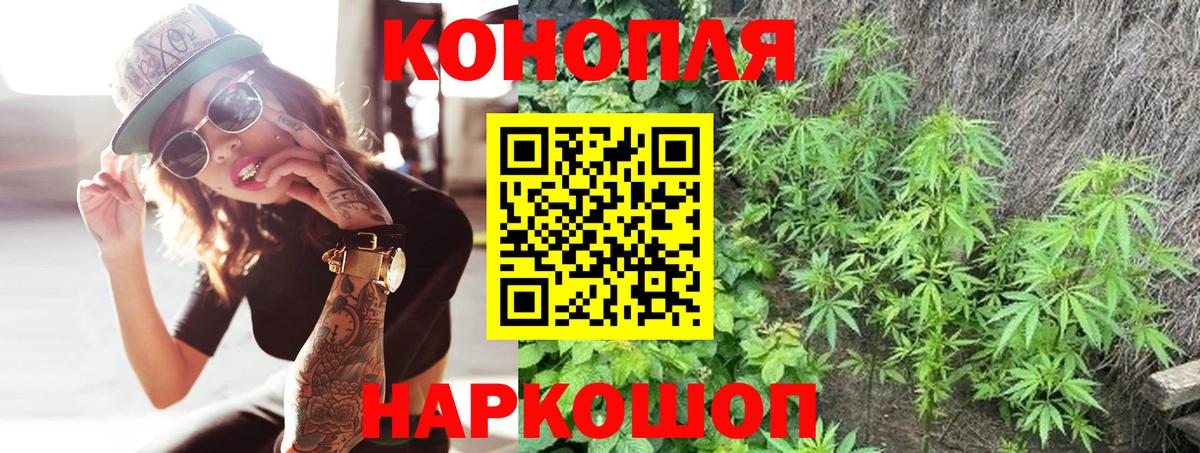 Марихуана Bruce Banner  Шишки марихуана план  Унеча  Вход с VPN 